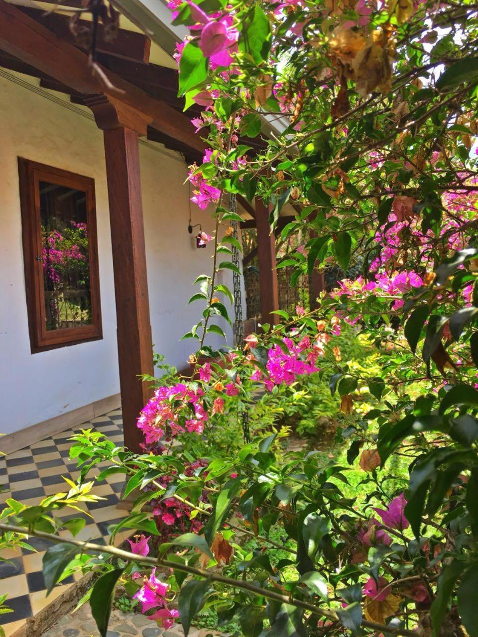 חריקו Casa Santamaria Hotel Campestre מראה חיצוני תמונה